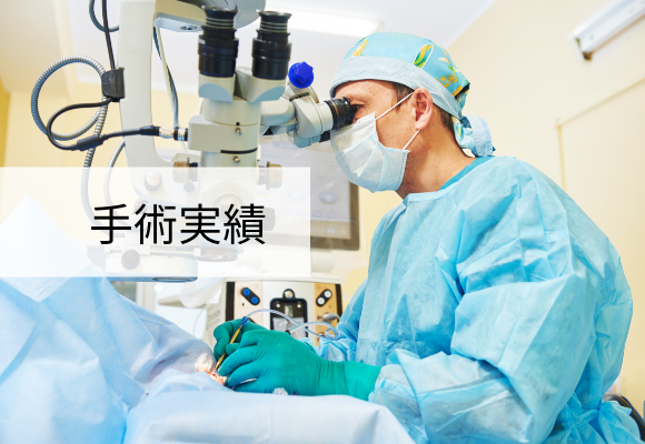 手術実績